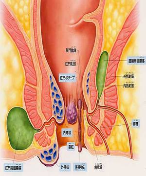 肛門外科